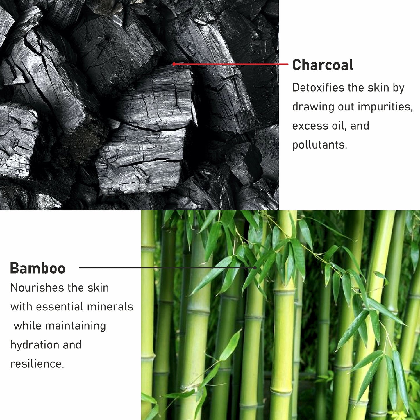 Charcoal + Bamboo Face Sheet Mask
