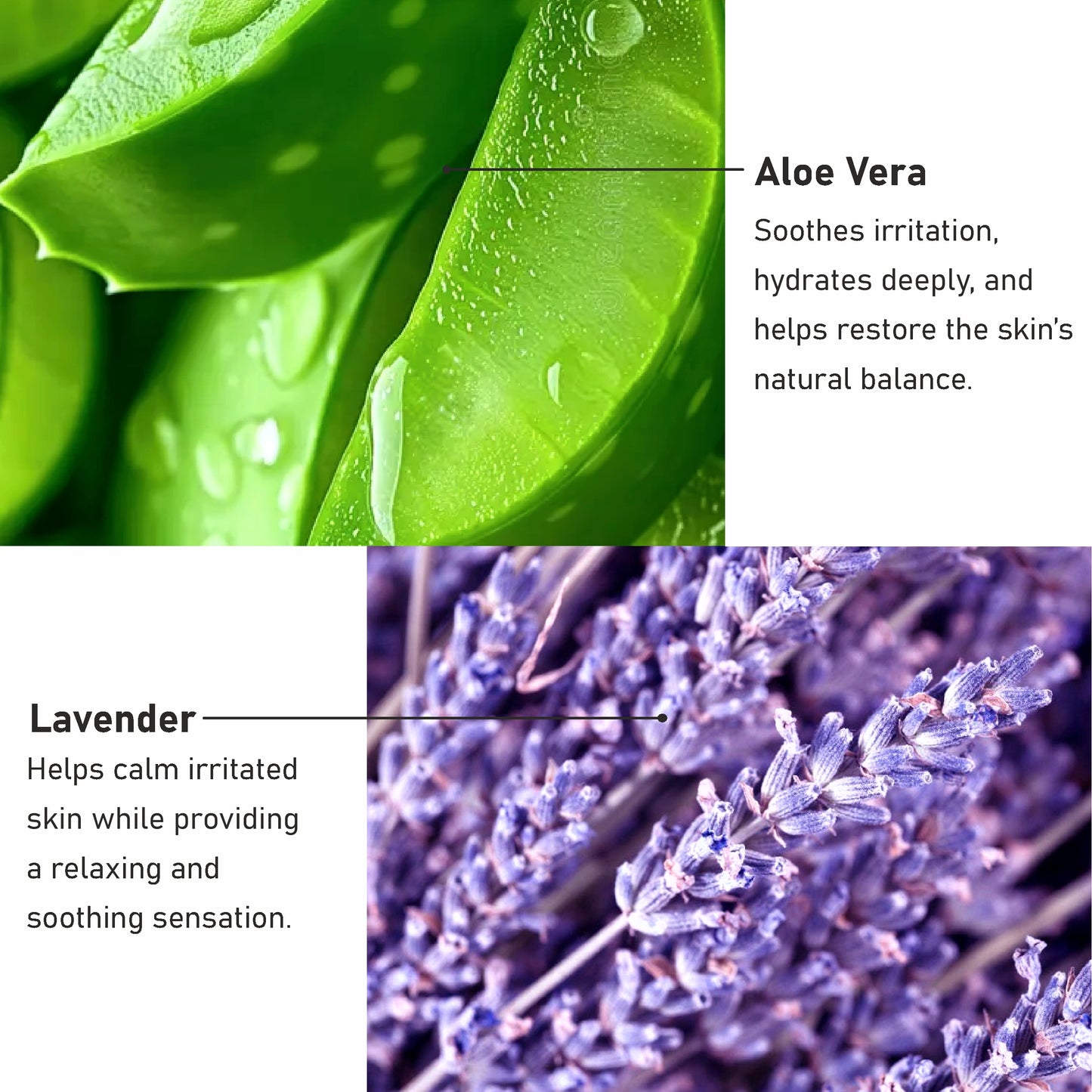 Aloe Vera + Lavender Face Sheet Mask