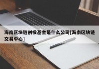 海南区块链创投基金是什么公司[海南区块链交易中心]